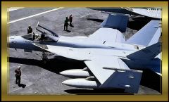 IMG_6638 .jpeg